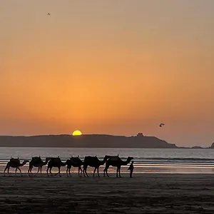 La Symbiose Essaouira